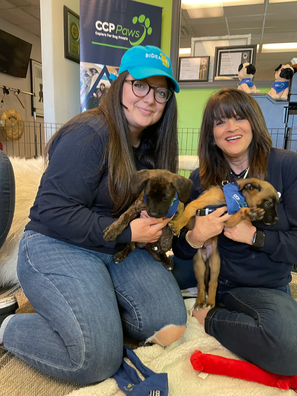 two girls holding a puppy with a blue collar