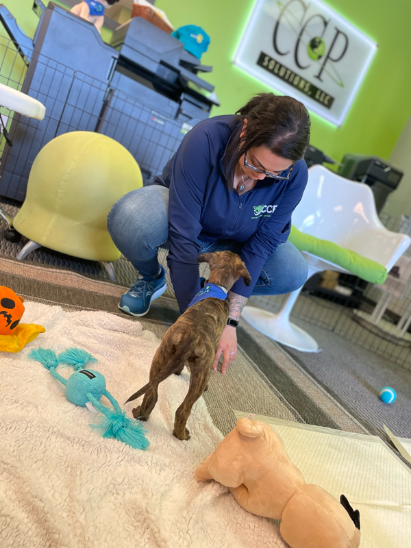 women playing with puppy