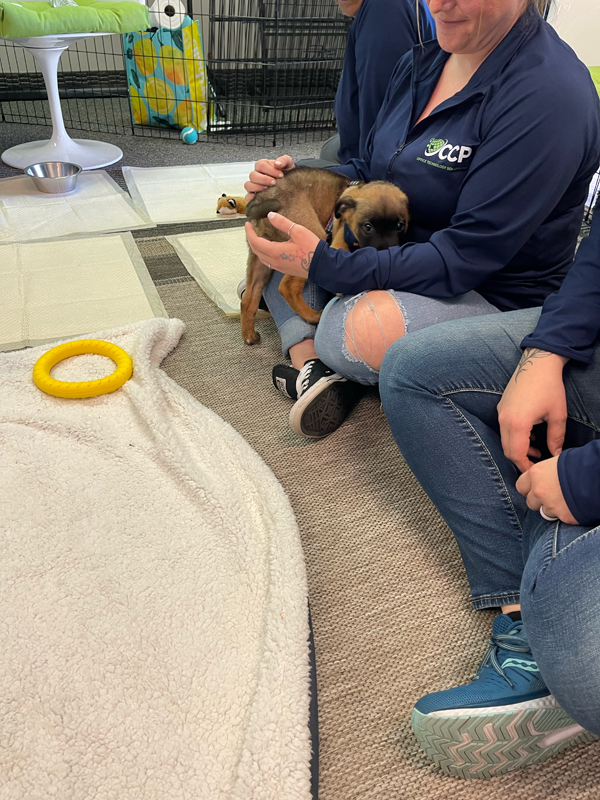 image of people sitting in a circle