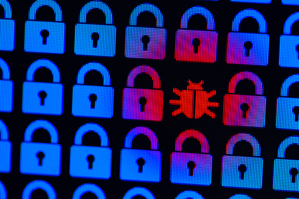 Bug as a symbol of malware and a Trojan virus in the program cod